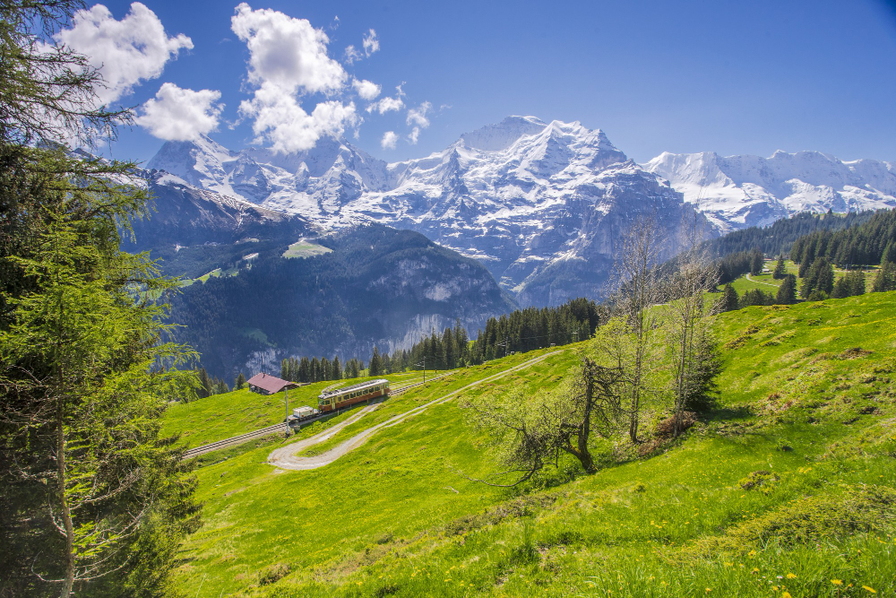 La Maison de la Nature et de l’Environnement de l’Isère : un carrefour pour l’écologie et la montagne