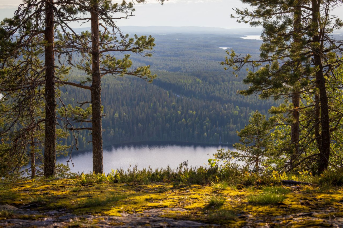 Une chasse au trésor géante, l’étonnante opération d’une station de ski finlandaise pour faire découvrir Levi, joyau de la nature